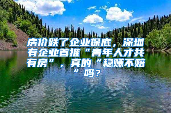 房價跌了企業保底，深圳有企業首推“青年人才共有房”，真的“穩賺不賠”嗎？