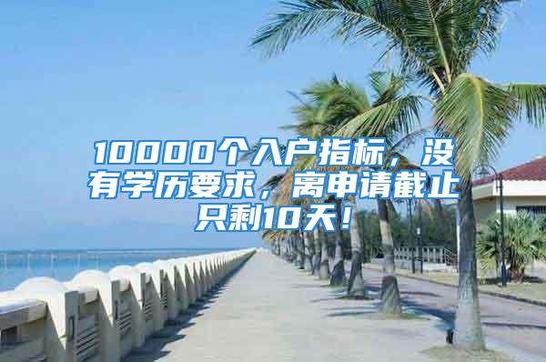 10000個入戶指標，沒有學歷要求，離申請截止只剩10天！