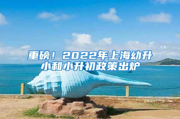 重磅！2022年上海幼升小和小升初政策出爐