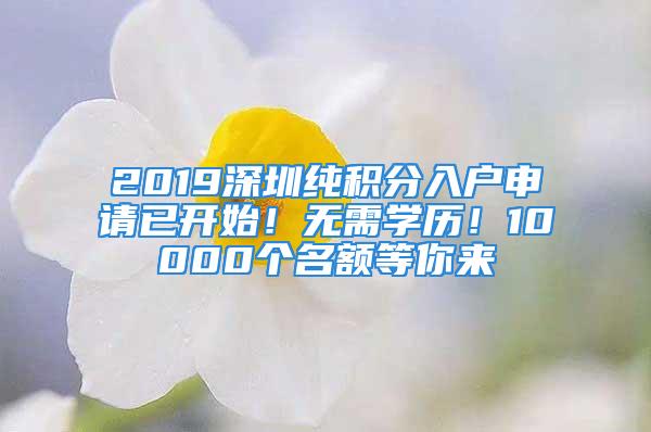 2019深圳純積分入戶申請已開始！無需學歷！10000個名額等你來