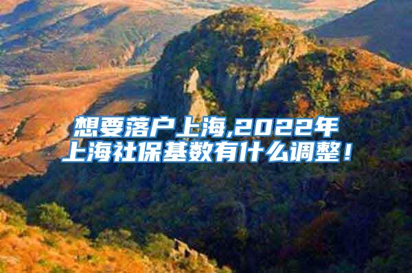 想要落戶上海,2022年上海社?；鶖涤惺裁凑{整！