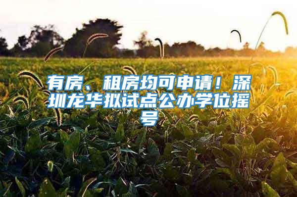 有房、租房均可申請！深圳龍華擬試點公辦學位搖號