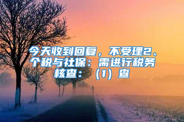 今天收到回復，不受理2、個稅與社保：需進行稅務核查：（1）查