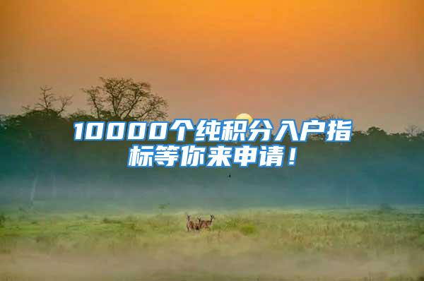 10000個純積分入戶指標等你來申請！