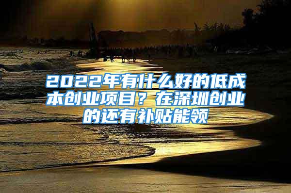 2022年有什么好的低成本創業項目？在深圳創業的還有補貼能領