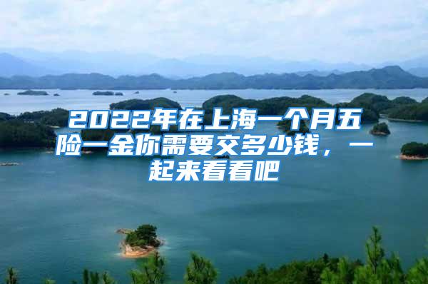 2022年在上海一個月五險一金你需要交多少錢，一起來看看吧