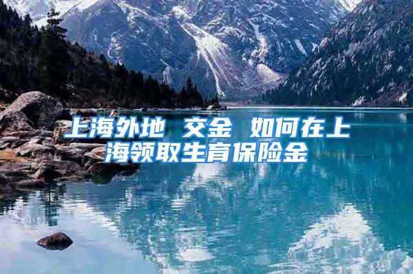 上海外地 交金 如何在上海領取生育保險金