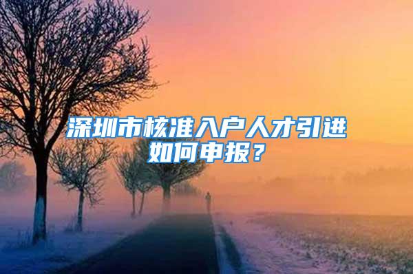 深圳市核準入戶人才引進如何申報？