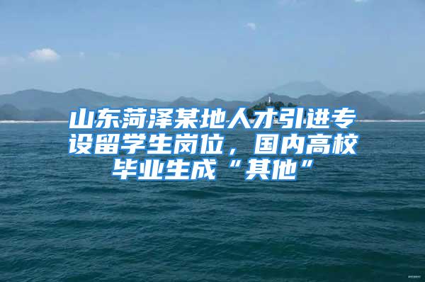 山東菏澤某地人才引進專設留學生崗位，國內高校畢業生成“其他”