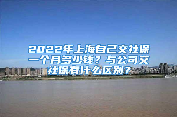 2022年上海自己交社保一個月多少錢？與公司交社保有什么區別？