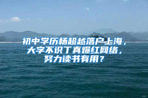 初中學歷楊超越落戶上海，大字不識丁真爆紅網絡，努力讀書有用？