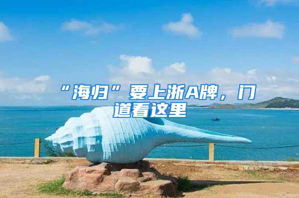 “海歸”要上浙A牌，門道看這里