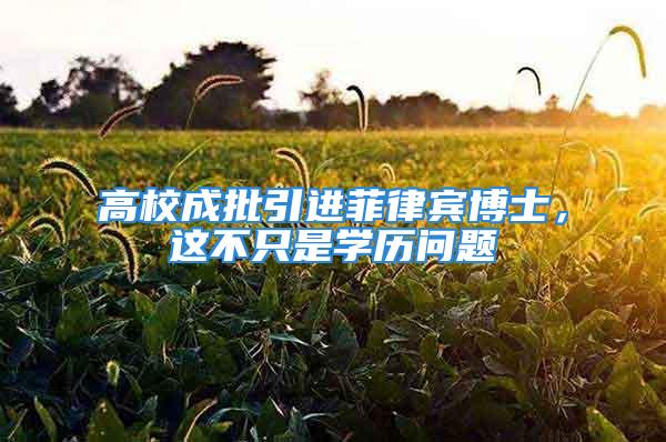 高校成批引進菲律賓博士，這不只是學歷問題