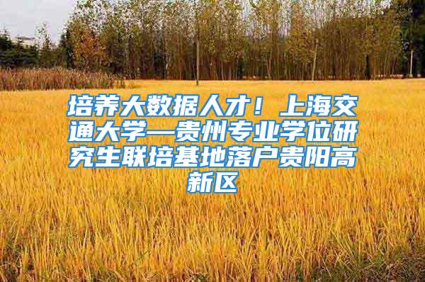 培養大數據人才！上海交通大學—貴州專業學位研究生聯培基地落戶貴陽高新區