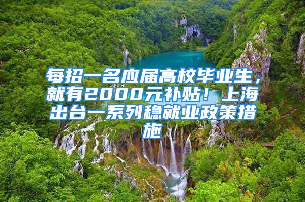 每招一名應屆高校畢業生，就有2000元補貼！上海出臺一系列穩就業政策措施