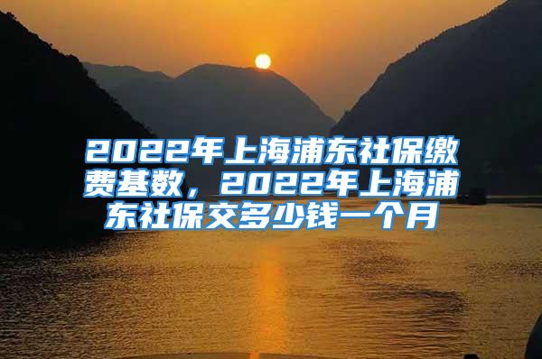 2022年上海浦東社保繳費基數，2022年上海浦東社保交多少錢一個月