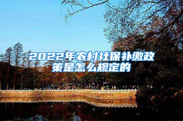 2022年農村社保補繳政策是怎么規定的