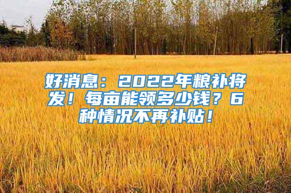 好消息：2022年糧補將發！每畝能領多少錢？6種情況不再補貼！