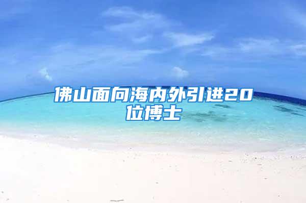 佛山面向海內外引進20位博士