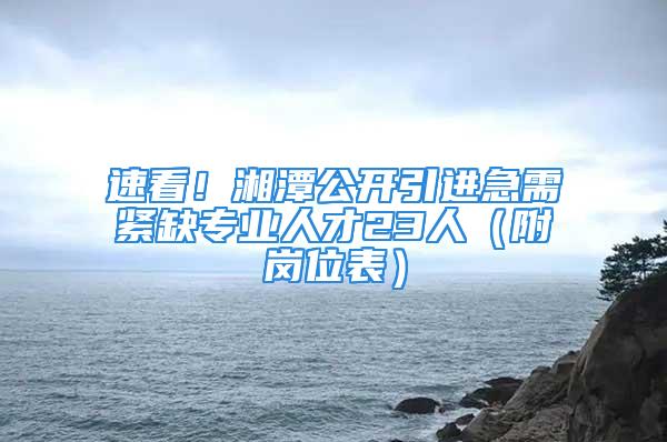 速看！湘潭公開引進急需緊缺專業人才23人（附崗位表）