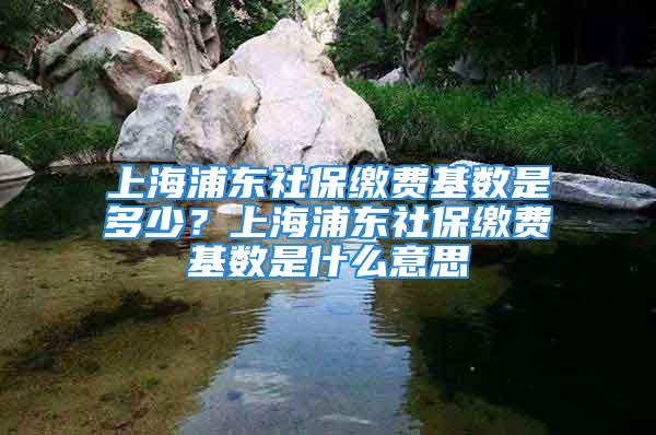 上海浦東社保繳費基數是多少？上海浦東社保繳費基數是什么意思