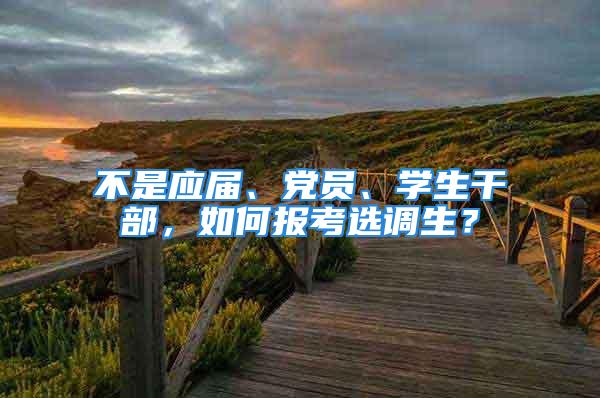 不是應屆、黨員、學生干部，如何報考選調生？