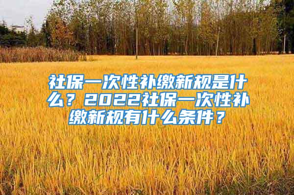 社保一次性補繳新規是什么？2022社保一次性補繳新規有什么條件？