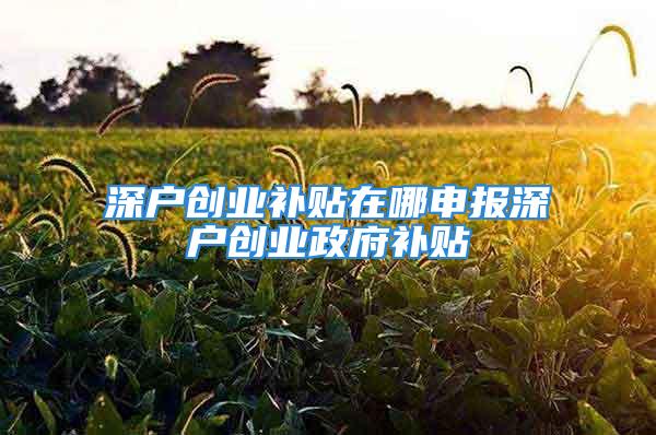 深戶創業補貼在哪申報深戶創業政府補貼