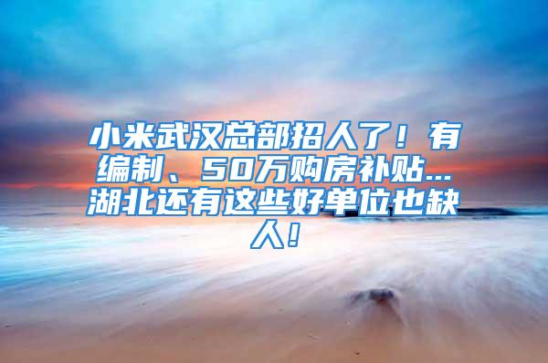 小米武漢總部招人了！有編制、50萬購房補貼...湖北還有這些好單位也缺人！