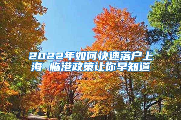 2022年如何快速落戶上海 臨港政策讓你早知道