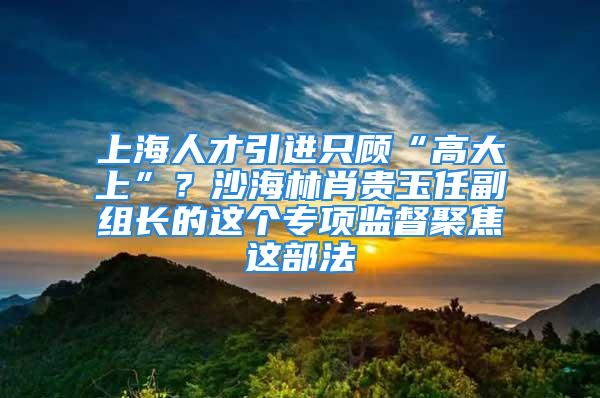 上海人才引進只顧“高大上”？沙海林肖貴玉任副組長的這個專項監督聚焦這部法