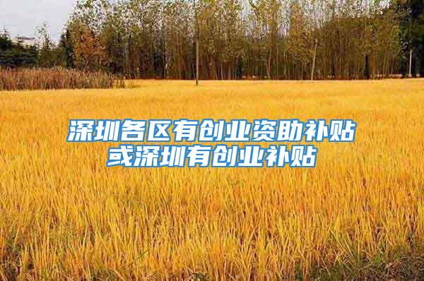 深圳各區有創業資助補貼或深圳有創業補貼