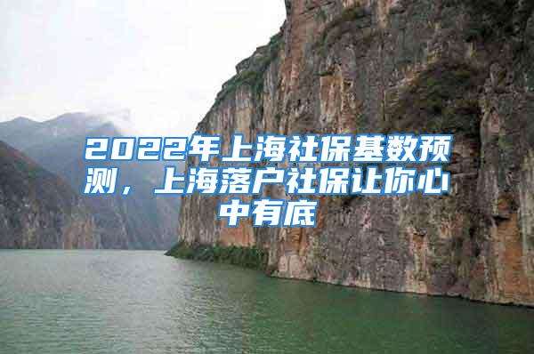 2022年上海社?；鶖殿A測，上海落戶社保讓你心中有底