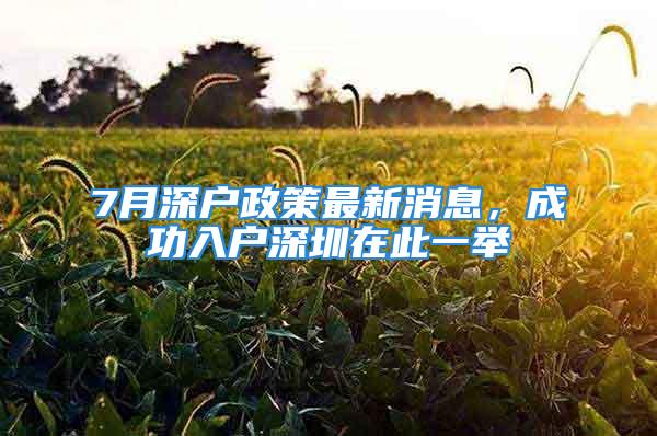 7月深戶政策最新消息，成功入戶深圳在此一舉