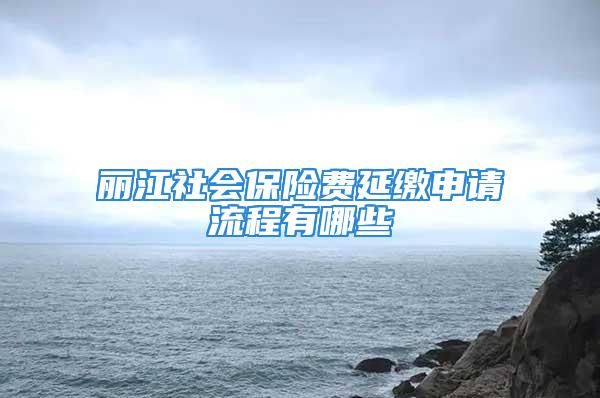 麗江社會保險費延繳申請流程有哪些