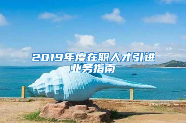 2019年度在職人才引進業務指南