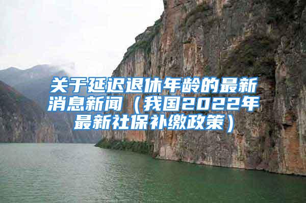 關于延遲退休年齡的最新消息新聞（我國2022年最新社保補繳政策）