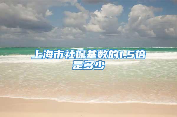 上海市社?；鶖档?.5倍是多少