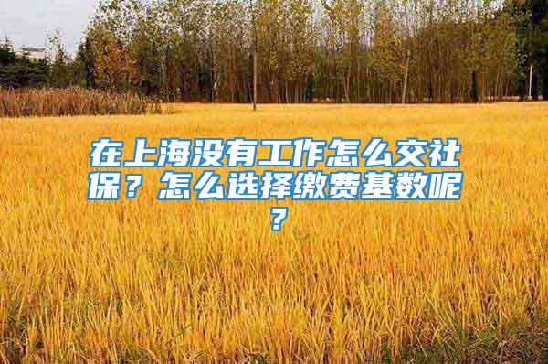 在上海沒有工作怎么交社保？怎么選擇繳費基數呢？