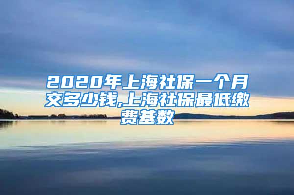 2020年上海社保一個月交多少錢,上海社保最低繳費基數