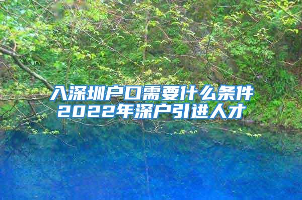 入深圳戶口需要什么條件2022年深戶引進人才