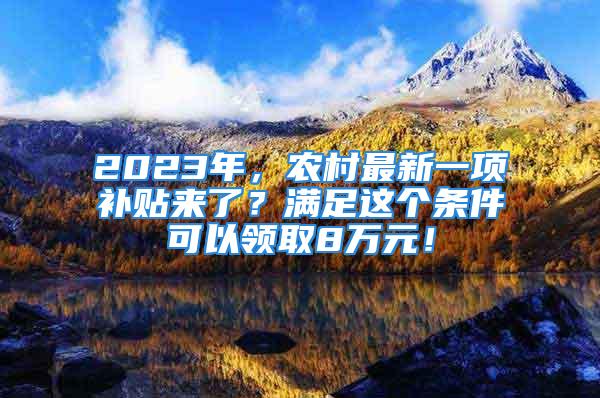 2023年，農村最新一項補貼來了？滿足這個條件可以領取8萬元！