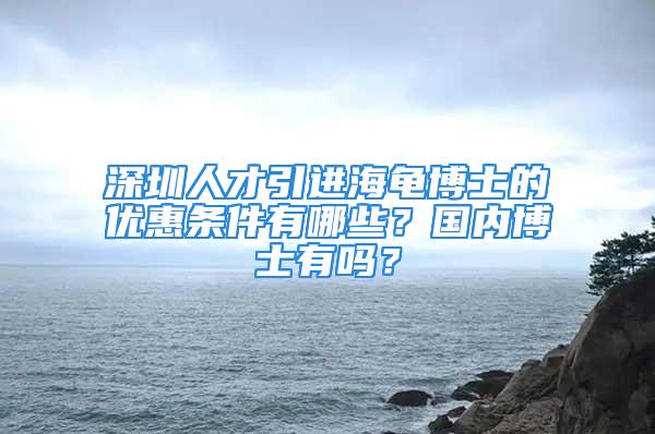 深圳人才引進海龜博士的優惠條件有哪些？國內博士有嗎？