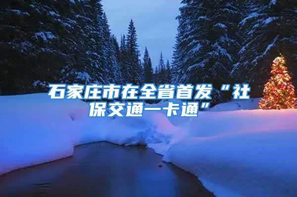 石家莊市在全省首發“社保交通一卡通”