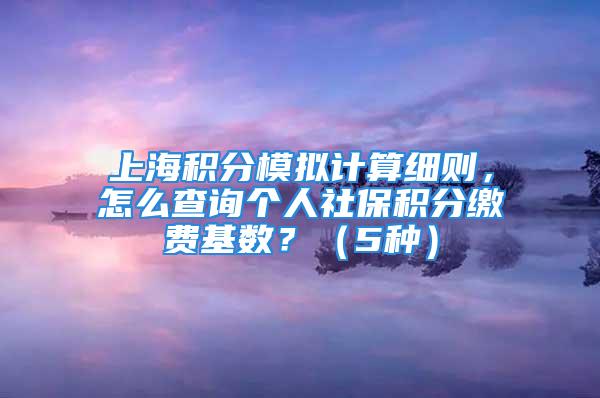 上海積分模擬計算細則，怎么查詢個人社保積分繳費基數？（5種）