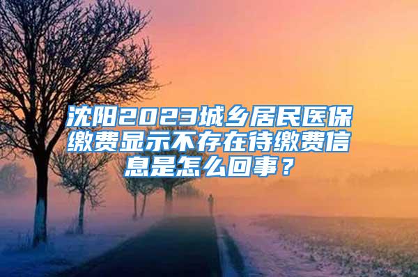 沈陽2023城鄉居民醫保繳費顯示不存在待繳費信息是怎么回事？