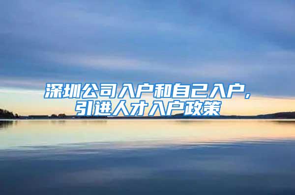 深圳公司入戶和自己入戶,引進人才入戶政策