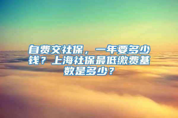 自費交社保，一年要多少錢？上海社保最低繳費基數是多少？