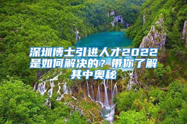 深圳博士引進人才2022是如何解決的？帶你了解其中奧秘