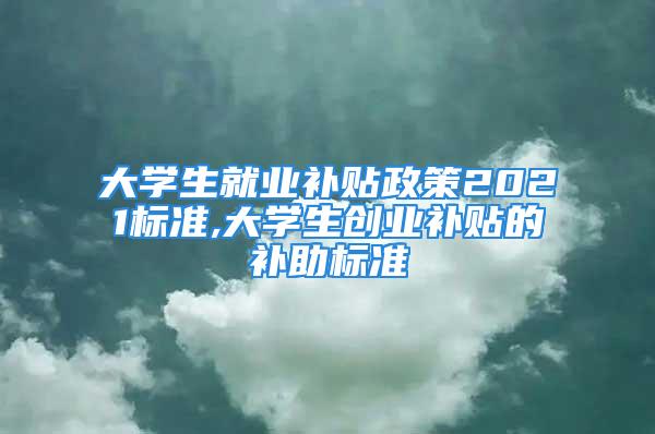 大學生就業補貼政策2021標準,大學生創業補貼的補助標準